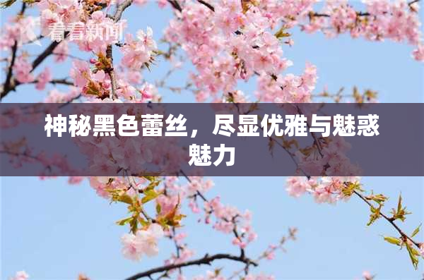 神秘黑色蕾丝，尽显优雅与魅惑魅力