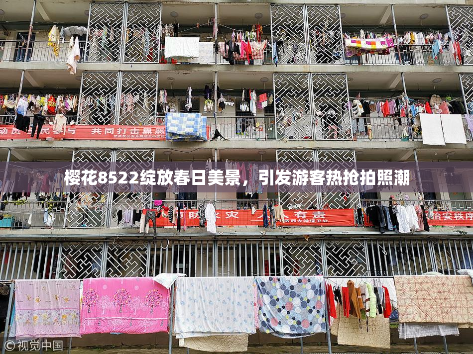 樱花8522绽放春日美景，引发游客热抢拍照潮