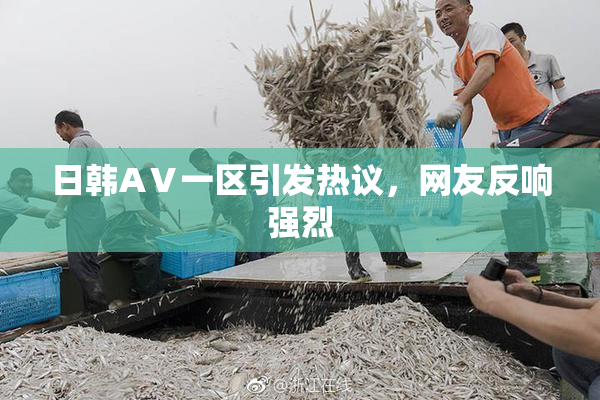 日韩AⅤ一区引发热议，网友反响强烈