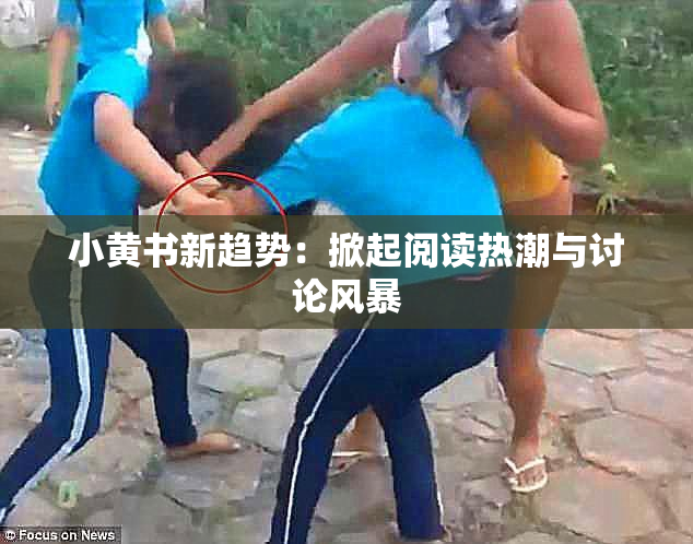 小黄书新趋势：掀起阅读热潮与讨论风暴