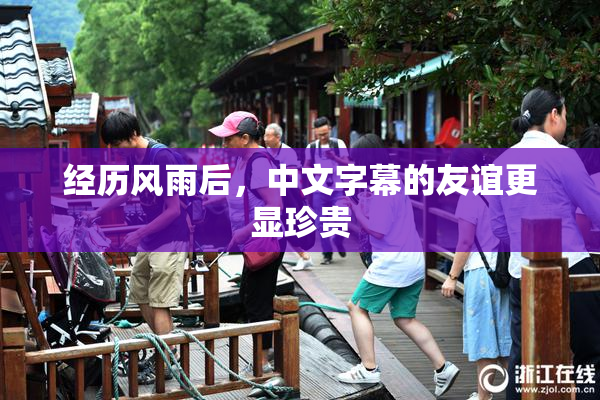 经历风雨后，中文字幕的友谊更显珍贵