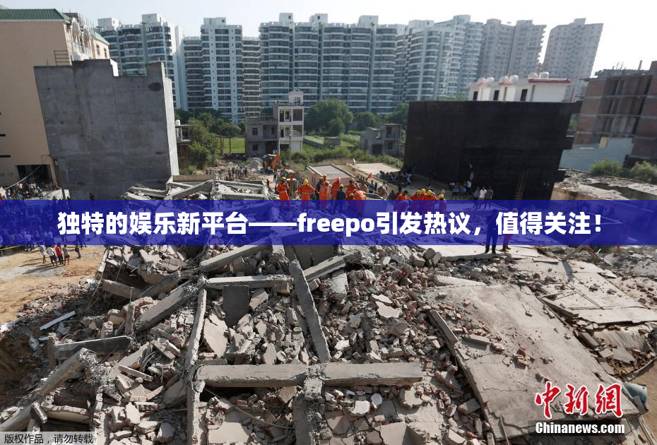 独特的娱乐新平台——freepo引发热议，值得关注！