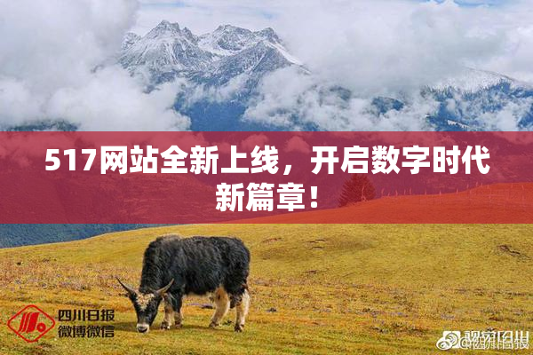 517网站全新上线，开启数字时代新篇章！