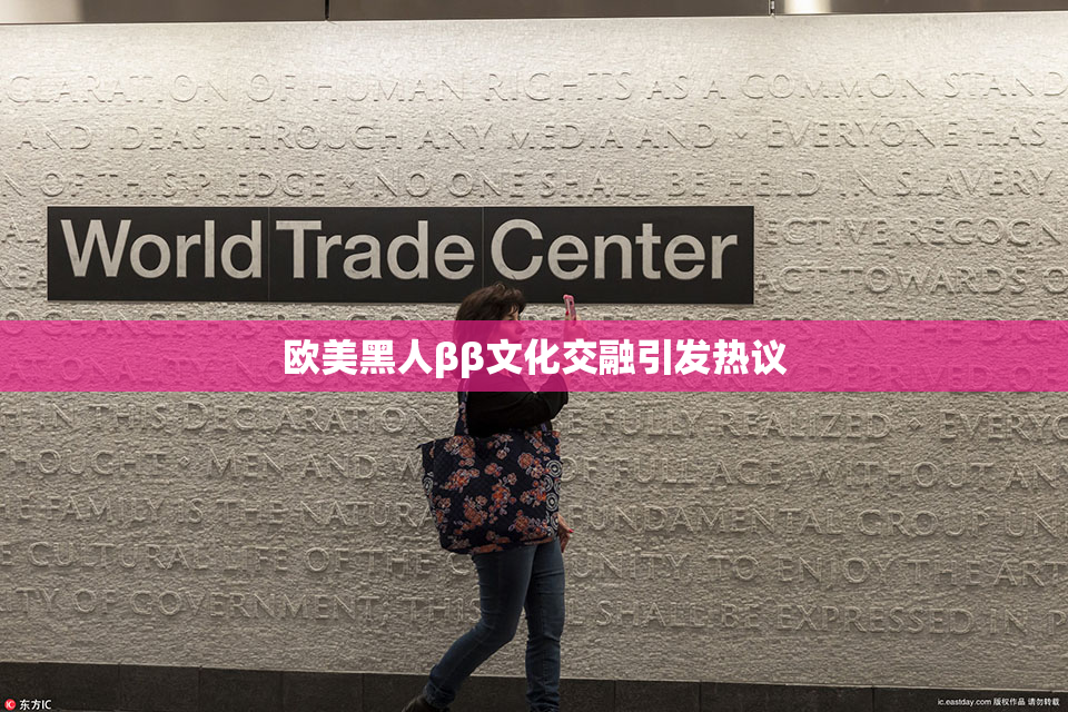 欧美黑人ββ文化交融引发热议