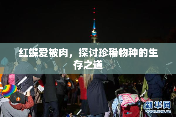 红蝶爱被肉，探讨珍稀物种的生存之道