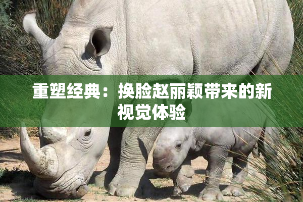 重塑经典：换脸赵丽颖带来的新视觉体验