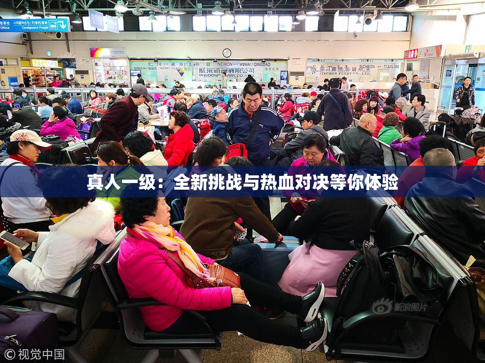 真人一级：全新挑战与热血对决等你体验