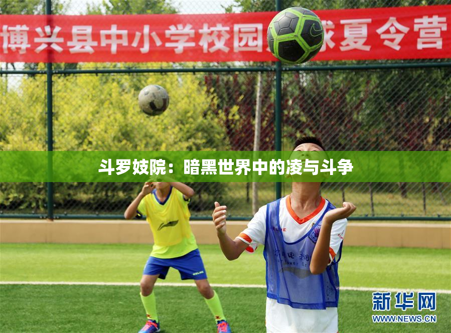 斗罗妓院：暗黑世界中的凌与斗争