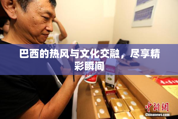 巴西的热风与文化交融，尽享精彩瞬间