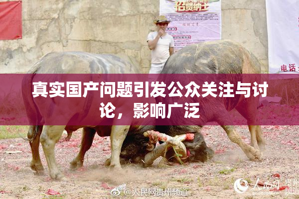 真实国产问题引发公众关注与讨论，影响广泛