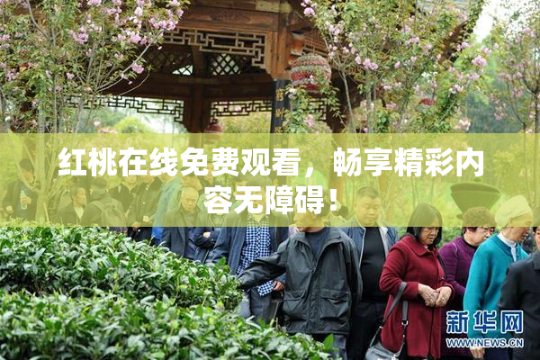 红桃在线免费观看，畅享精彩内容无障碍！
