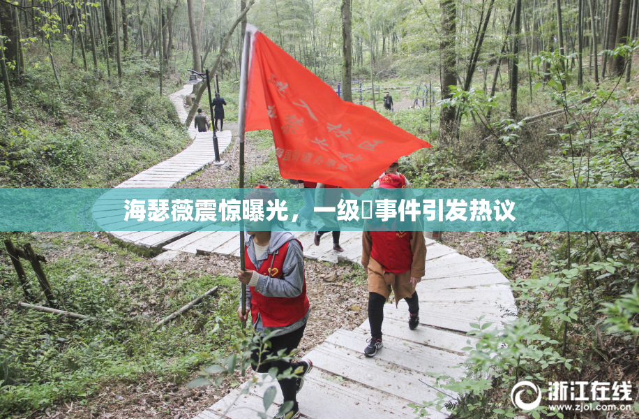 海瑟薇震惊曝光，一级婬事件引发热议