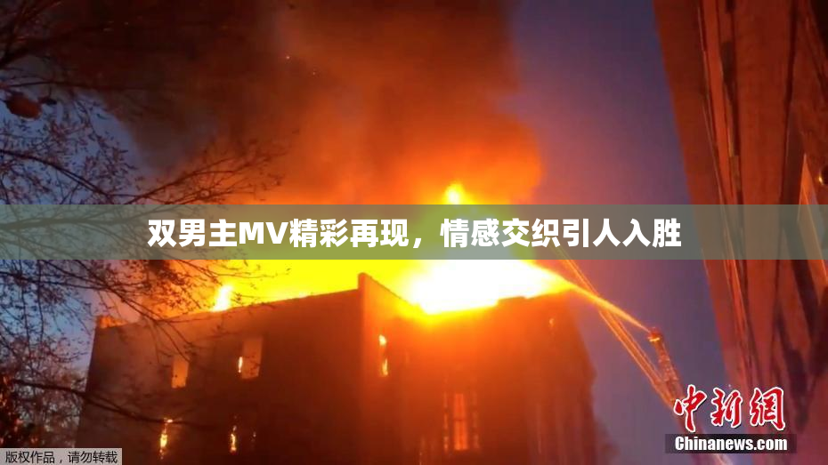 双男主MV精彩再现，情感交织引人入胜