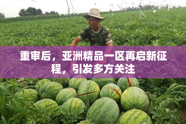 重审后，亚洲精品一区再启新征程，引发多方关注