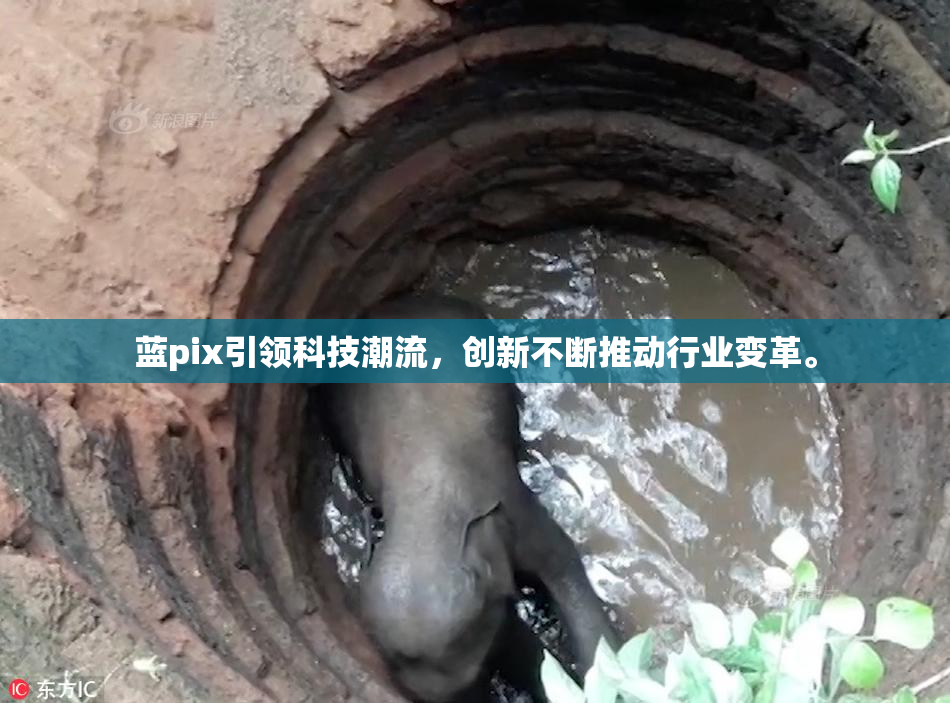 蓝pix引领科技潮流，创新不断推动行业变革。