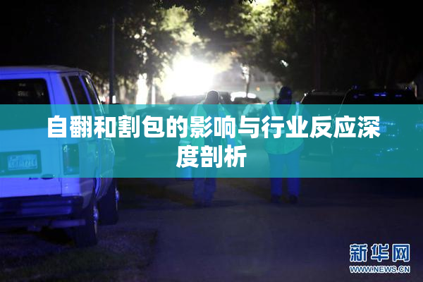 自翻和割包的影响与行业反应深度剖析