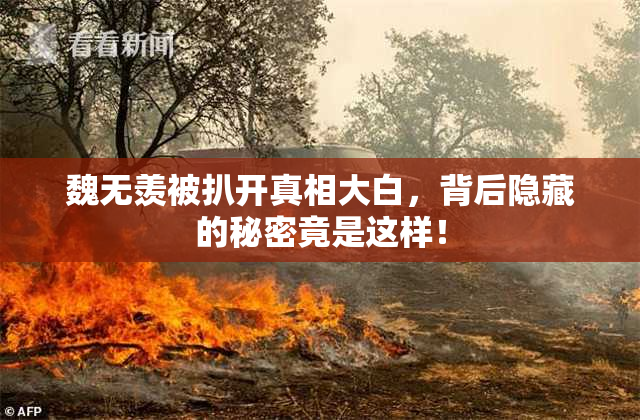魏无羡被扒开真相大白，背后隐藏的秘密竟是这样！