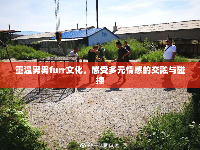 重温男男furr文化，感受多元情感的交融与碰撞