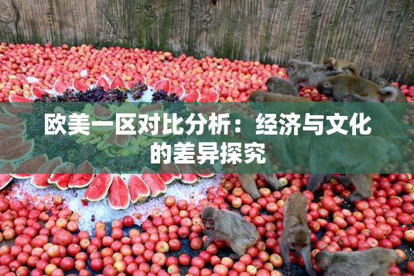 欧美一区对比分析：经济与文化的差异探究