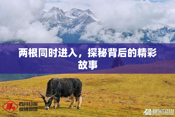 两根同时进入，探秘背后的精彩故事