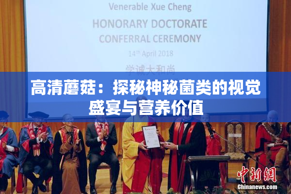 高清蘑菇：探秘神秘菌类的视觉盛宴与营养价值