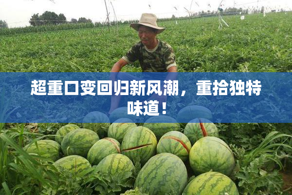 超重口变回归新风潮，重拾独特味道！