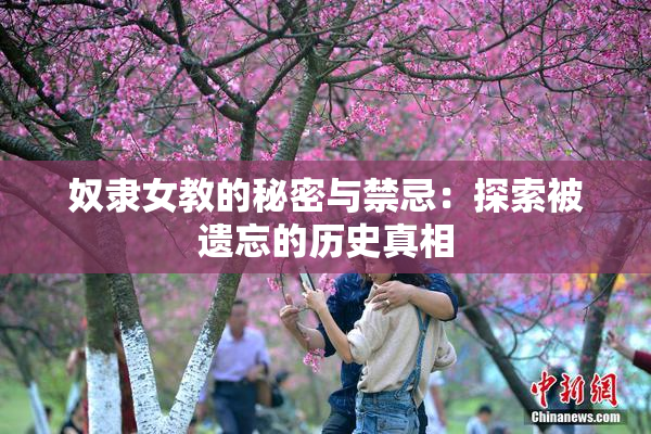 奴隶女教的秘密与禁忌：探索被遗忘的历史真相