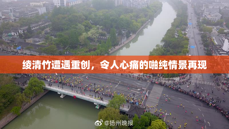 绫清竹遭遇重创，令人心痛的啪纯情景再现