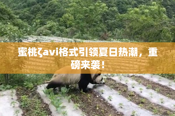 蜜桃ζavi格式引领夏日热潮，重磅来袭！