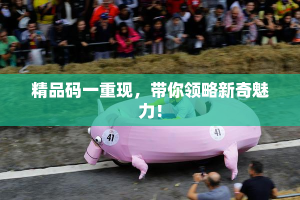 精品码一重现，带你领略新奇魅力！