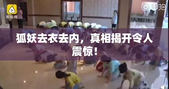 狐妖去衣去内，真相揭开令人震惊！