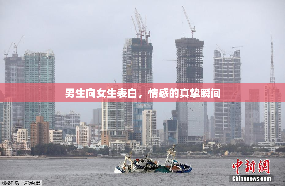 男生向女生表白，情感的真挚瞬间