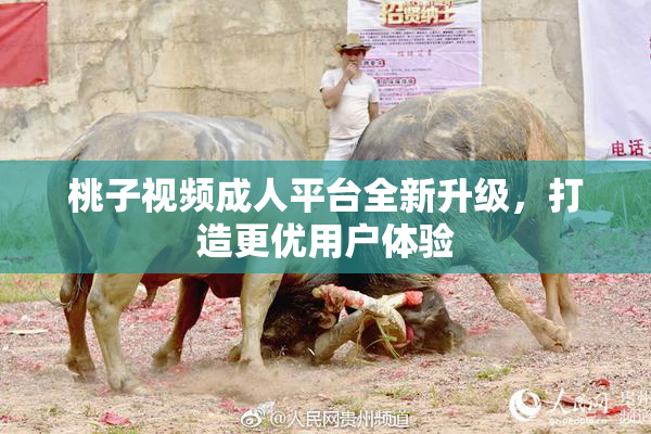 桃子视频成人平台全新升级，打造更优用户体验