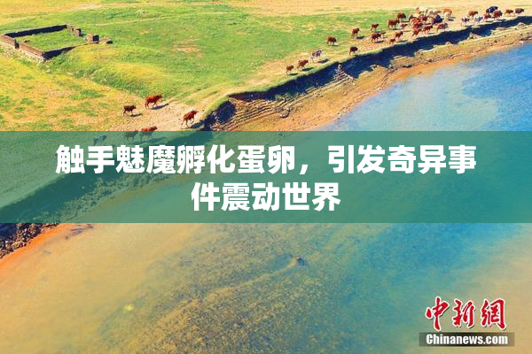 触手魅魔孵化蛋卵，引发奇异事件震动世界
