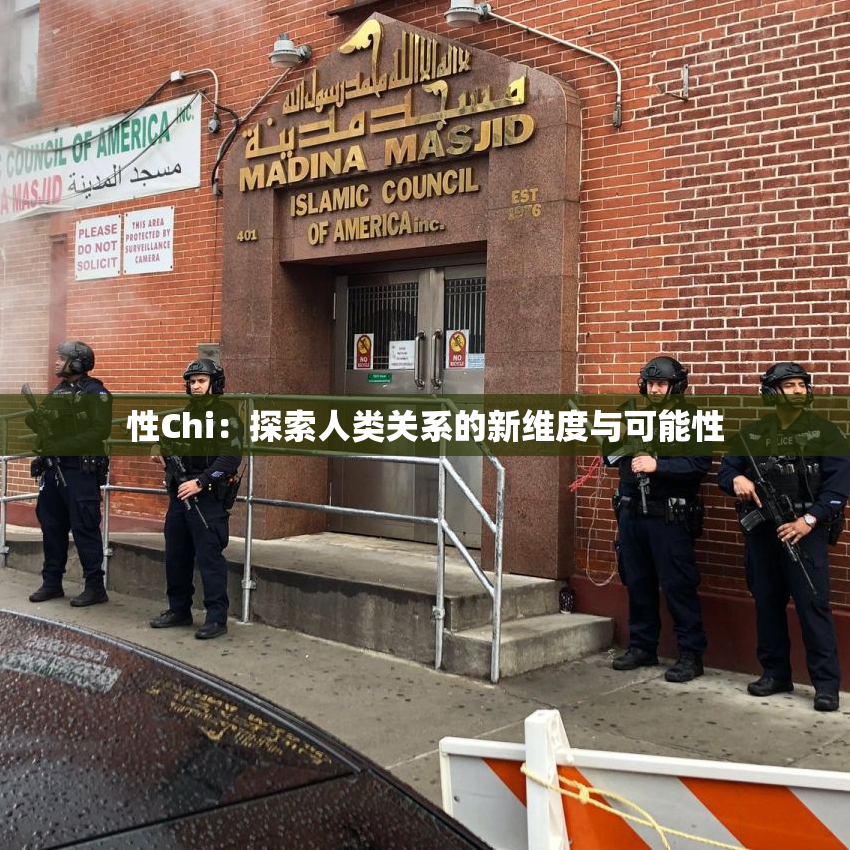 性Chi：探索人类关系的新维度与可能性