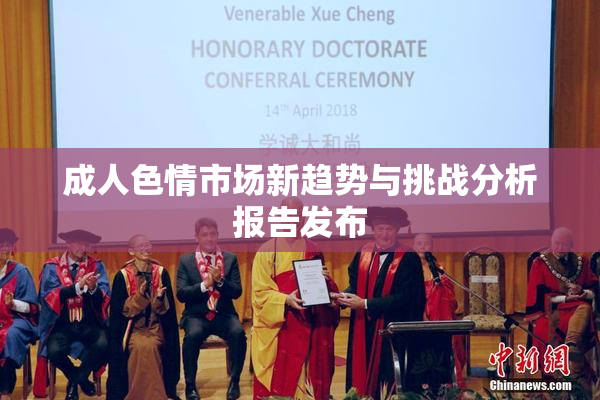 成人色情市场新趋势与挑战分析报告发布