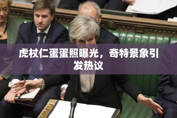 虎杖仁蛋蛋照曝光，奇特景象引发热议