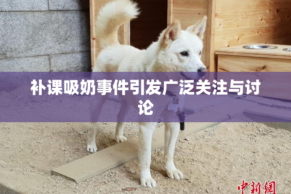 补课吸奶事件引发广泛关注与讨论