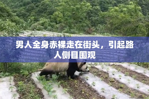 男人全身赤裸走在街头，引起路人侧目围观