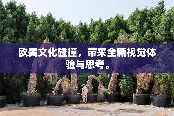 欧美文化碰撞，带来全新视觉体验与思考。
