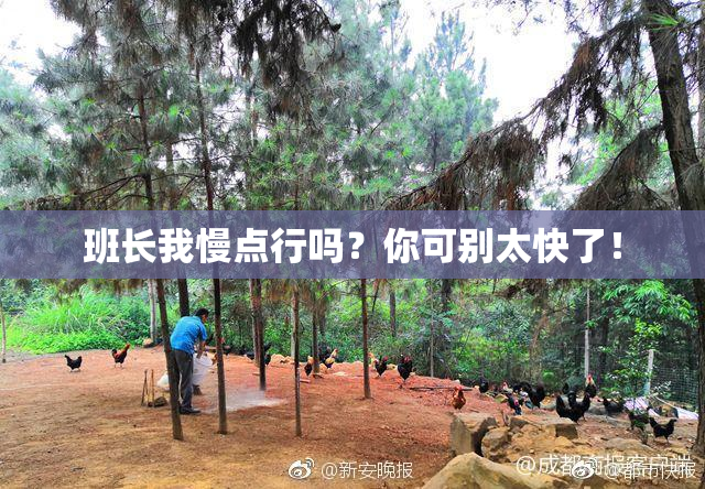 班长我慢点行吗？你可别太快了！