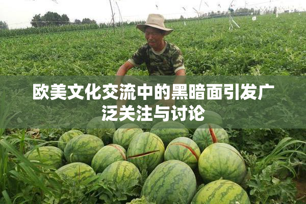 欧美文化交流中的黑暗面引发广泛关注与讨论