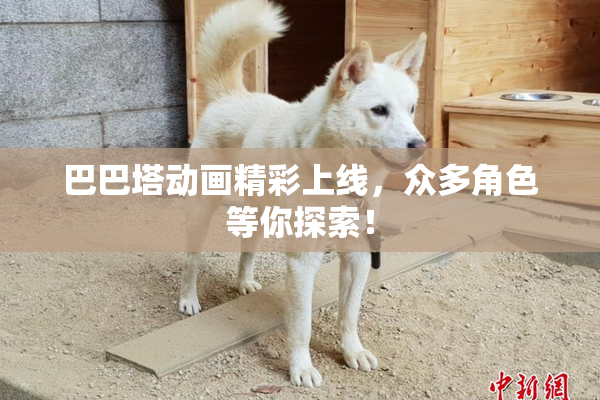 巴巴塔动画精彩上线，众多角色等你探索！