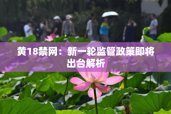 黄18禁网：新一轮监管政策即将出台解析