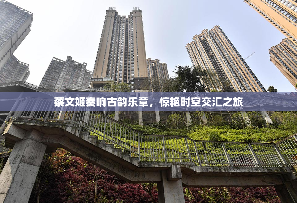 蔡文姬奏响古韵乐章，惊艳时空交汇之旅