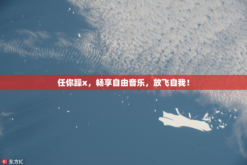 任你躁x，畅享自由音乐，放飞自我！