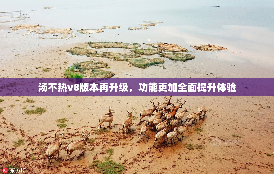汤不热v8版本再升级，功能更加全面提升体验