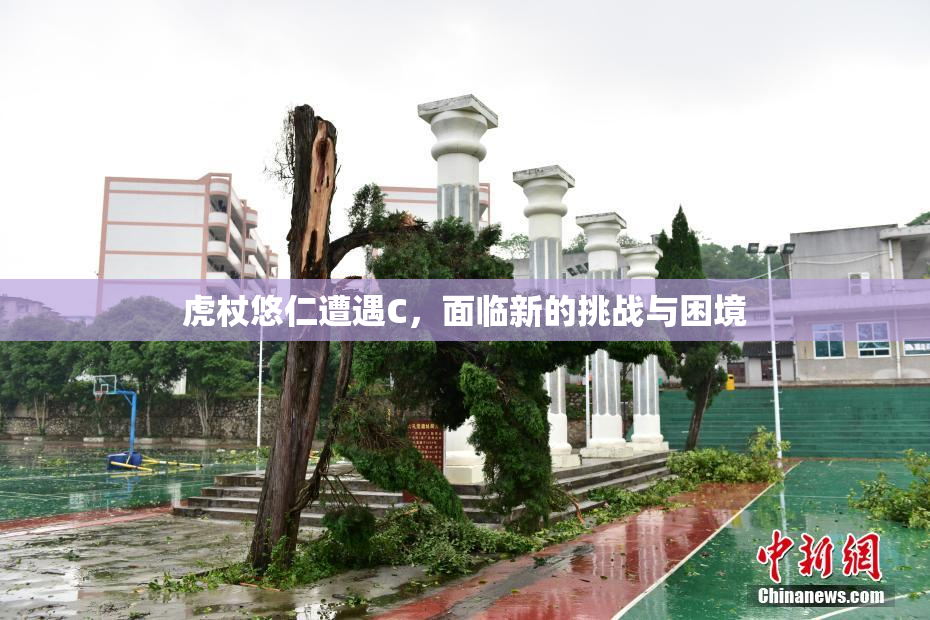 虎杖悠仁遭遇C，面临新的挑战与困境