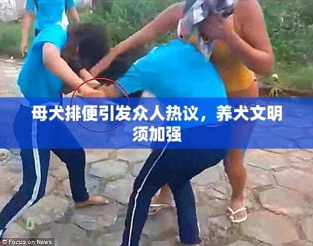 母犬排便引发众人热议，养犬文明须加强