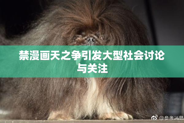 禁漫画天之争引发大型社会讨论与关注